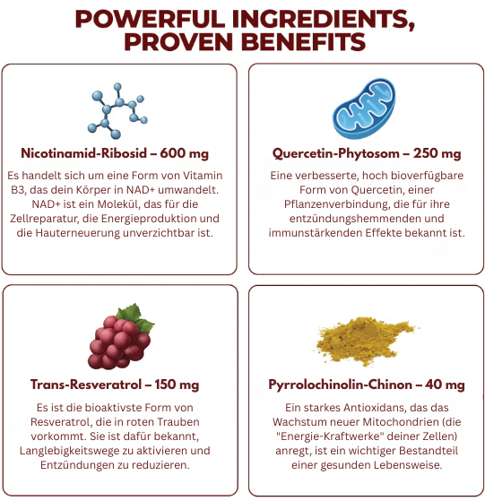 Anti-Aging Nad+ Zellenergie-Drink